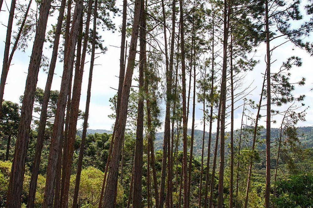 Campos Verde Campos do Jordão